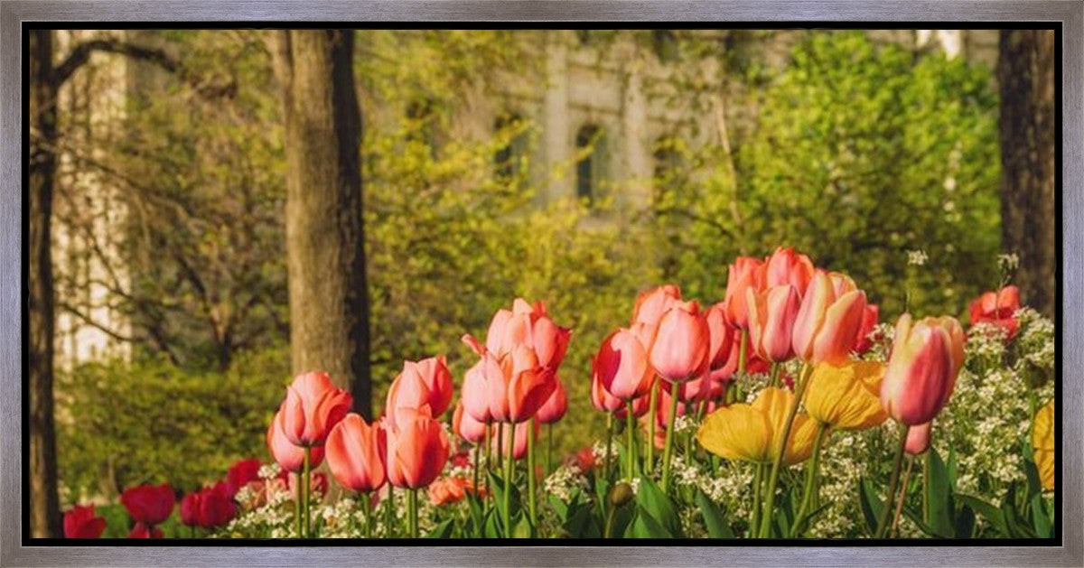 Salt Lake In The Garden Gallery Wrap