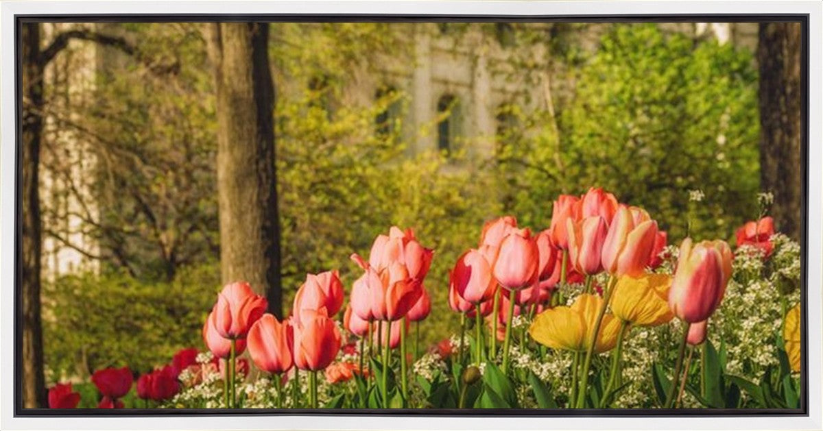 Salt Lake In The Garden Gallery Wrap