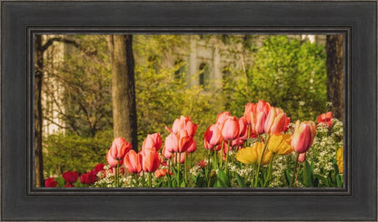 Salt Lake in the Garden