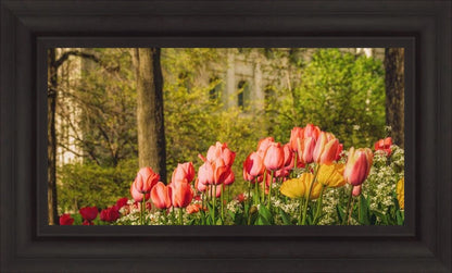 Salt Lake in the Garden