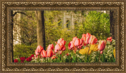 Salt Lake In The Garden