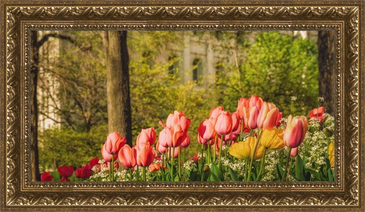 Salt Lake in the Garden