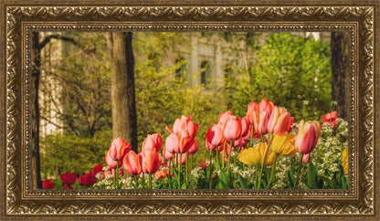 Salt Lake in the Garden