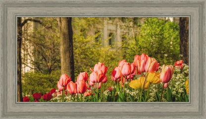 Salt Lake In The Garden