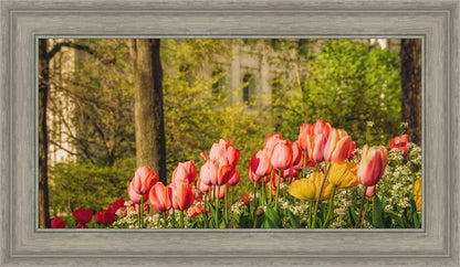 Salt Lake in the Garden