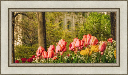 Salt Lake in the Garden