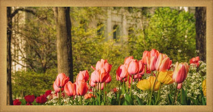 Salt Lake In The Garden