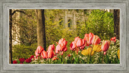 Salt Lake In The Garden