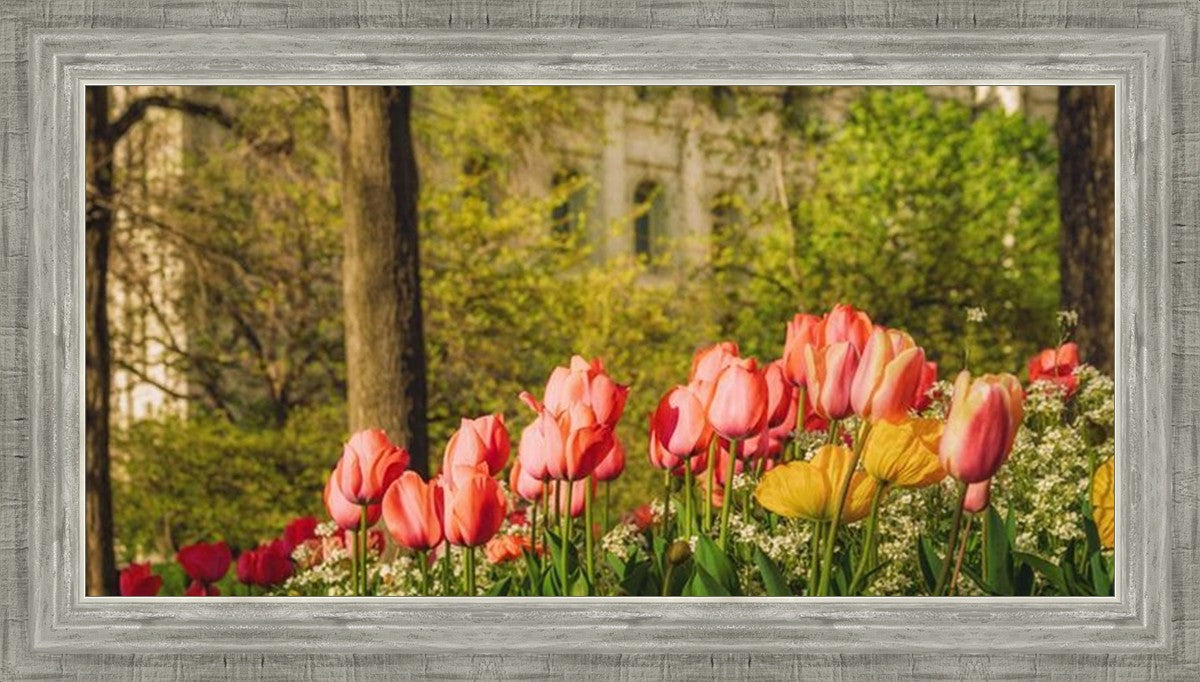 Salt Lake in the Garden