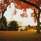 Provo Sanctuary