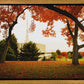 Provo Sanctuary