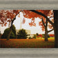 Provo Sanctuary