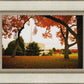 Provo Sanctuary