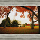 Provo Sanctuary