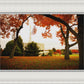 Provo Sanctuary
