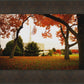 Provo Sanctuary