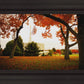Provo Sanctuary