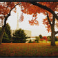 Provo Sanctuary