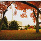Provo Sanctuary
