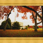 Provo Sanctuary