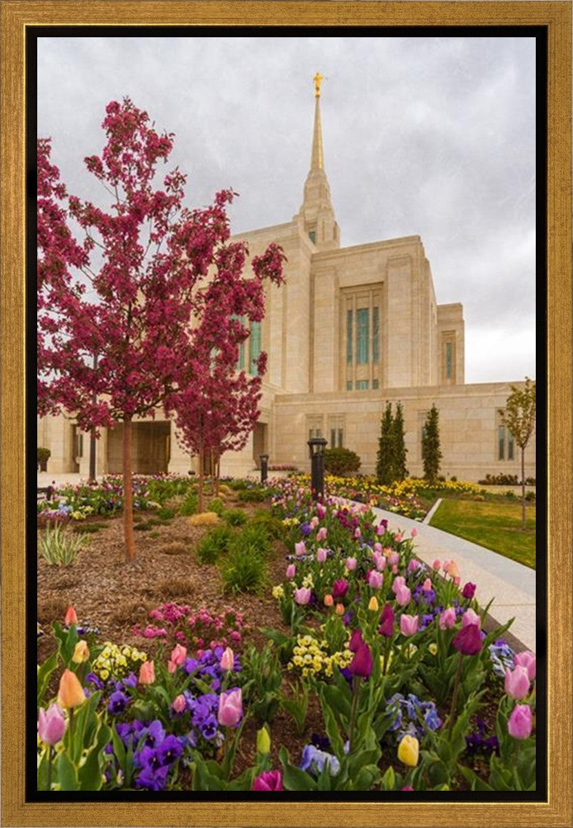 Ogden Tulips Gallery Wrap