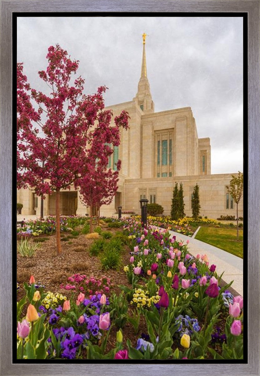 Ogden Tulips Gallery Wrap