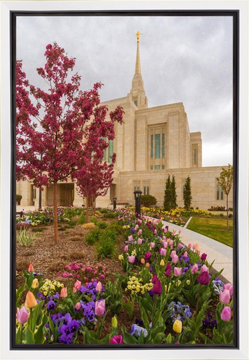 Ogden Tulips Gallery Wrap