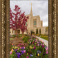 Ogden Tulips