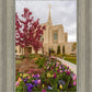 Ogden Tulips