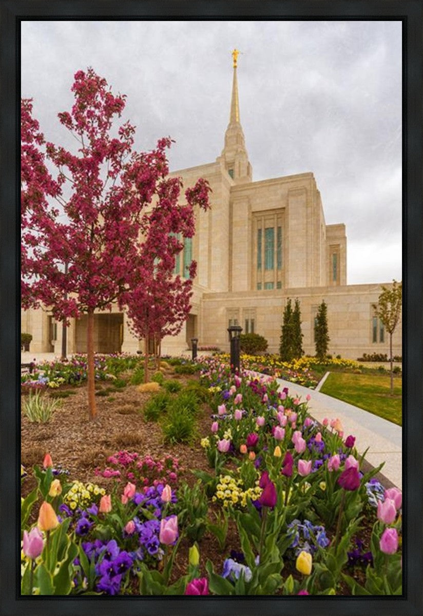 Ogden Tulips Gallery Wrap