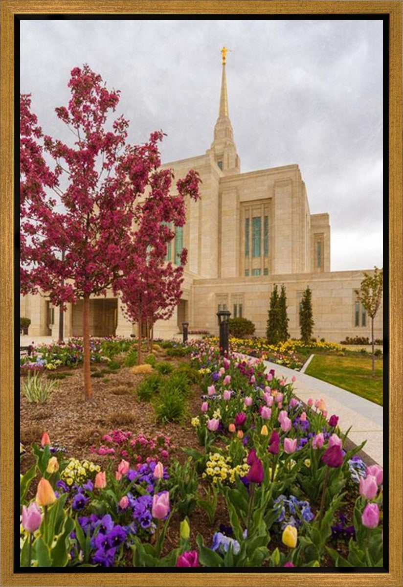 Ogden Tulips Gallery Wrap