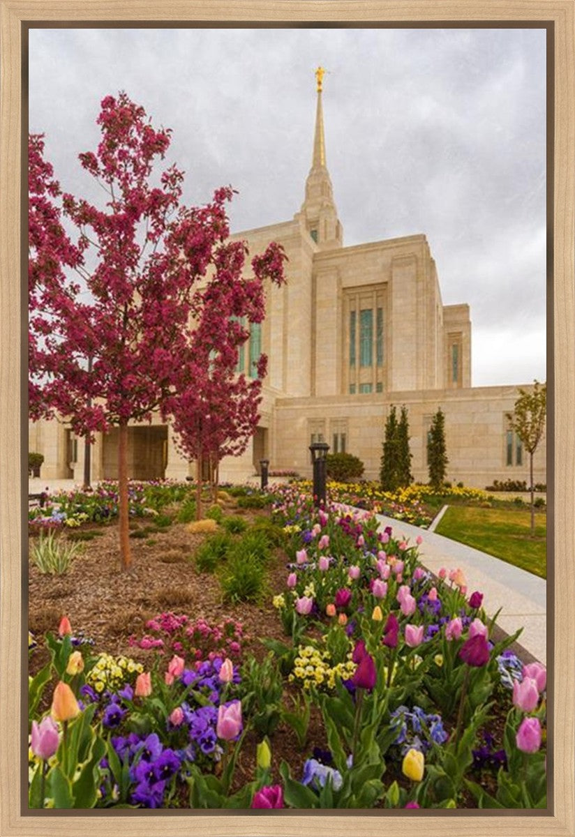 Ogden Tulips Gallery Wrap