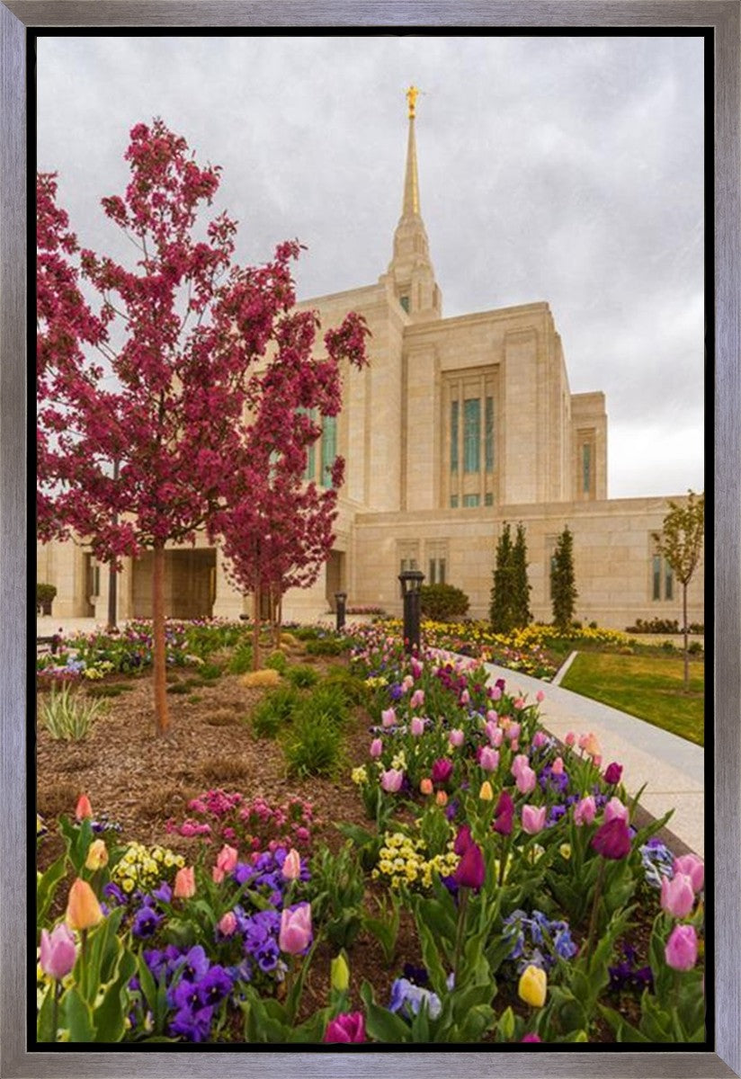 Ogden Tulips Gallery Wrap