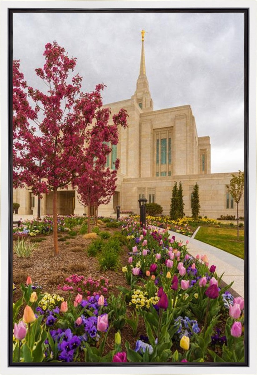 Ogden Tulips Gallery Wrap