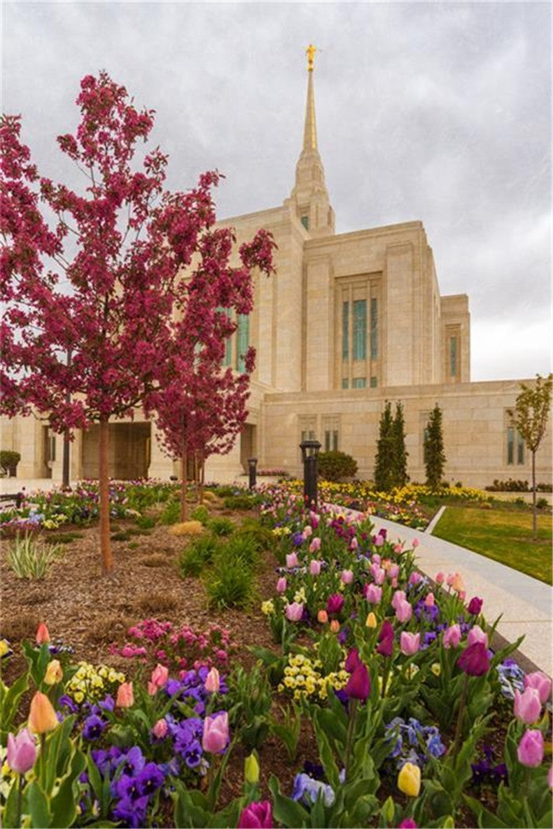 Ogden Tulips Gallery Wrap