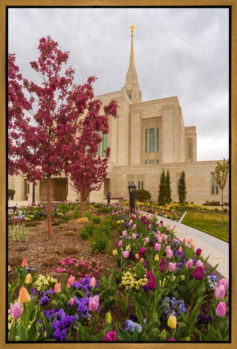 Ogden Tulips Gallery Wrap