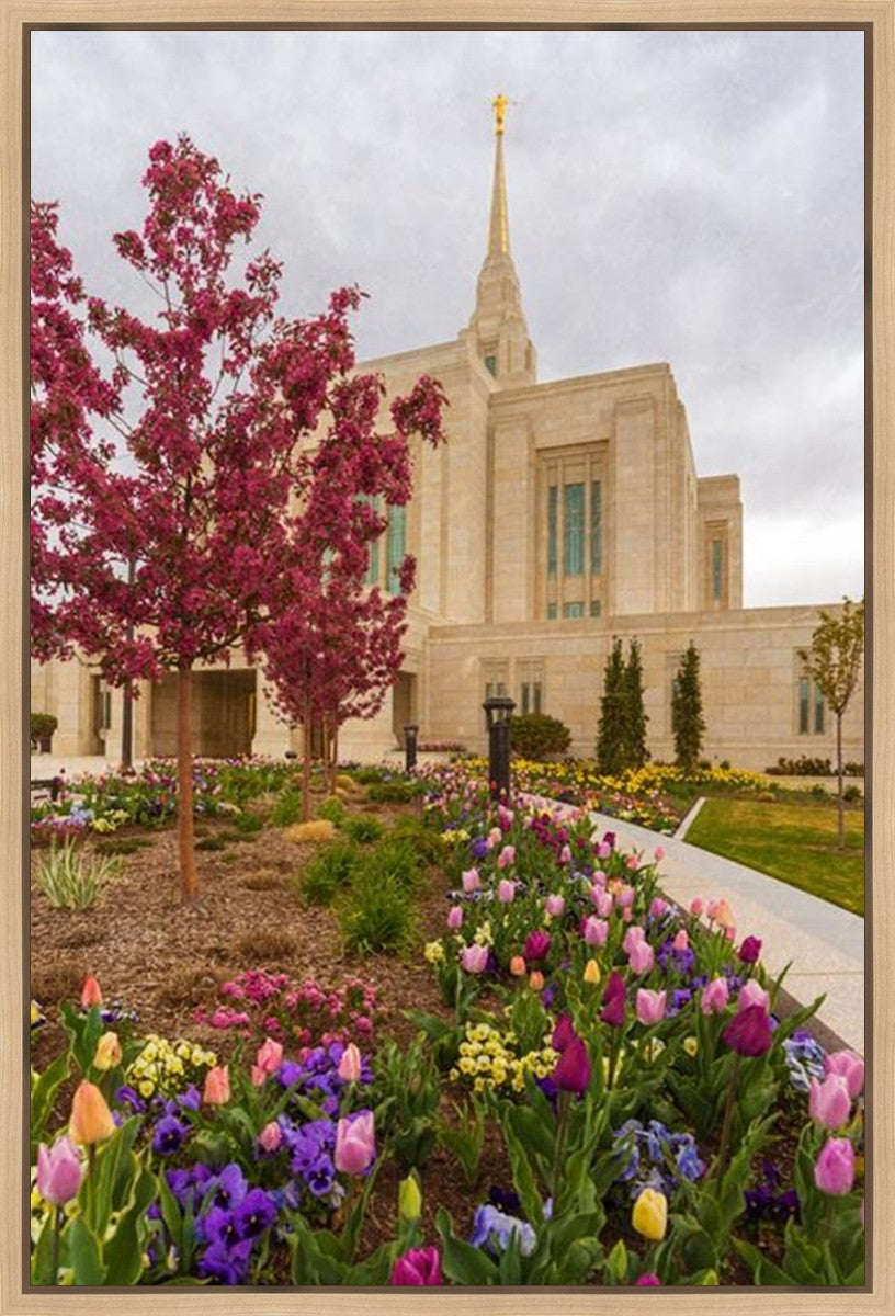 Ogden Tulips Gallery Wrap