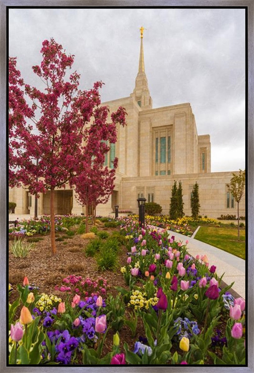 Ogden Tulips Gallery Wrap