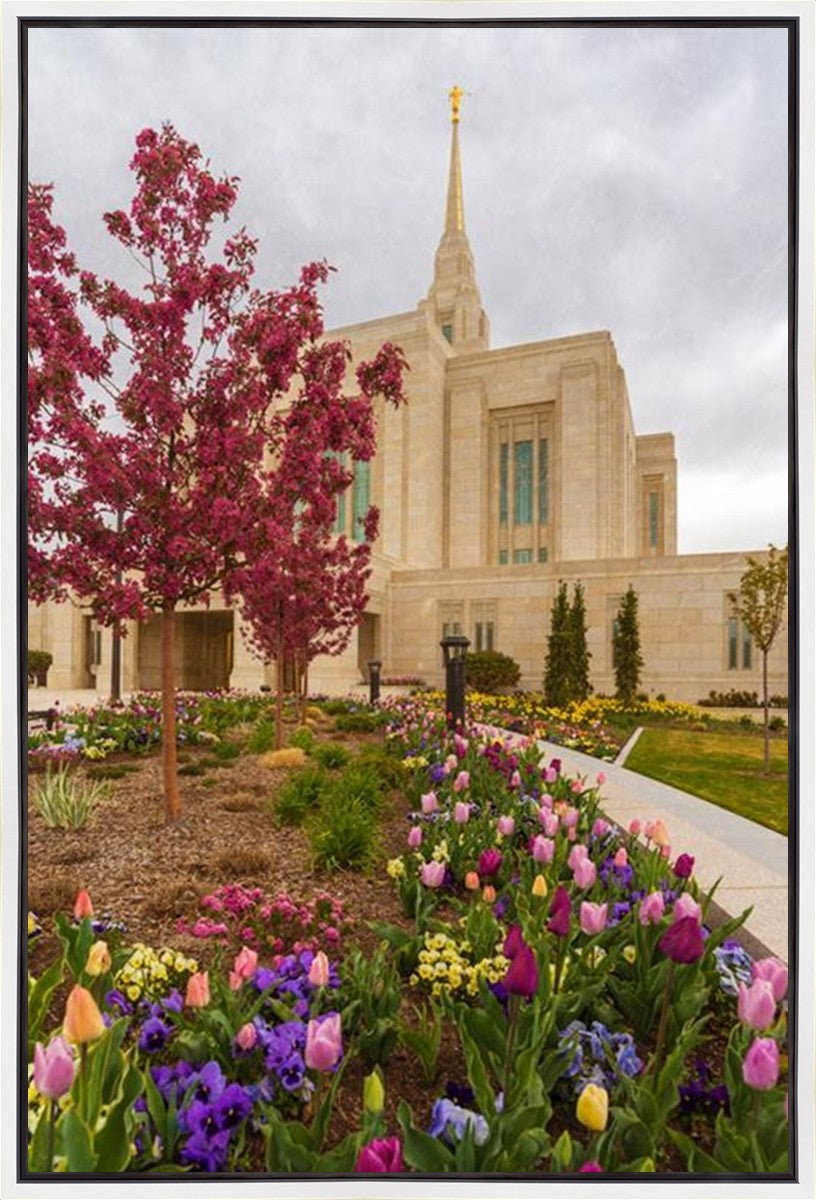Ogden Tulips Gallery Wrap