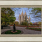 Salt Lake Light Unto My Path