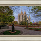 Salt Lake Light Unto My Path