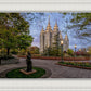 Salt Lake Light Unto My Path