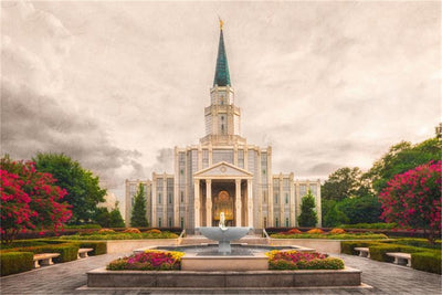 Houston Texas Temple Pictures & Art