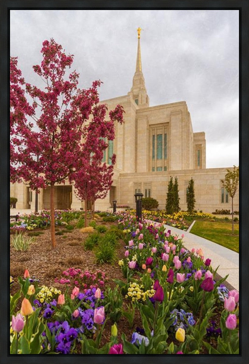 Ogden Tulips Gallery Wrap