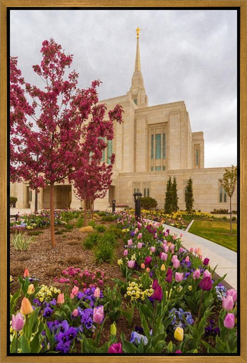 Ogden Tulips Gallery Wrap