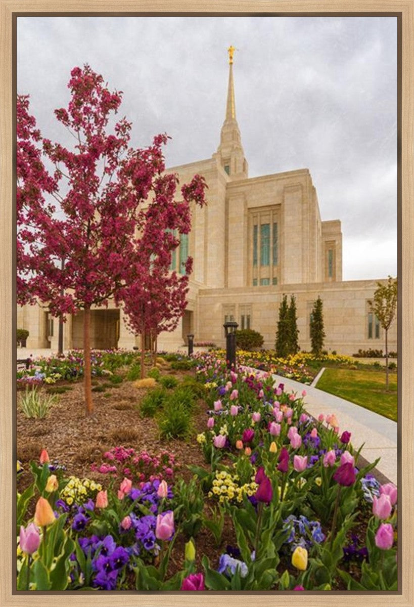 Ogden Tulips Gallery Wrap