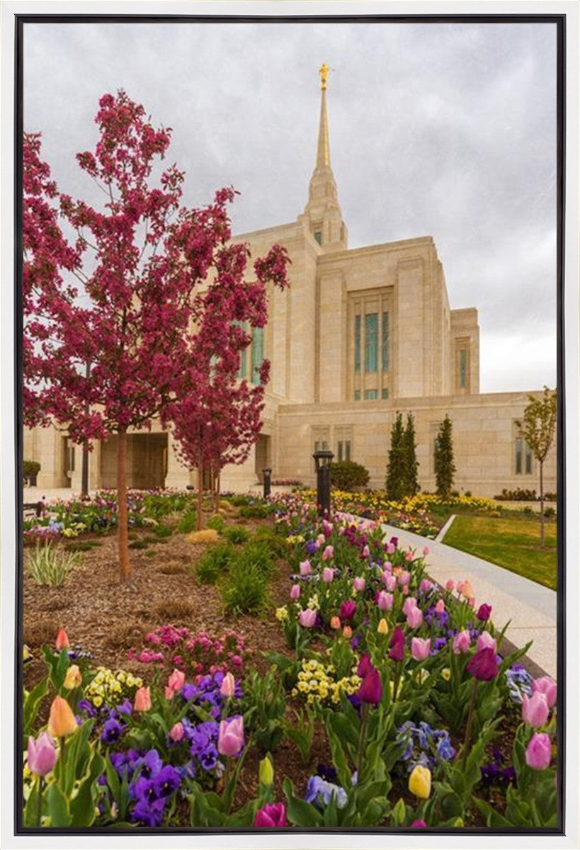Ogden Tulips Gallery Wrap