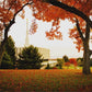 Provo Sanctuary
