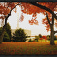 Provo Sanctuary