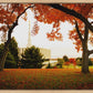 Provo Sanctuary